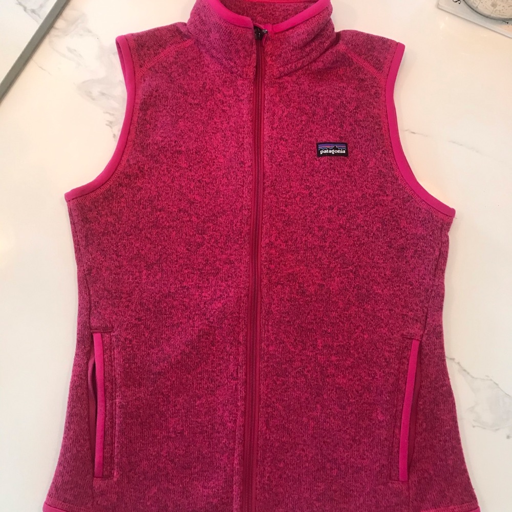Better Sweater Patagonia Vest in Pink